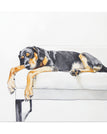 36″ x 36″ / 1.25