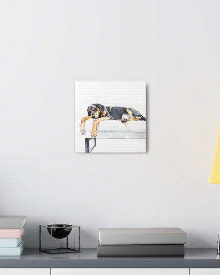 Canvas Gallery Wraps - Watercolor Black and Tan Coonhound Sleeping on Couch